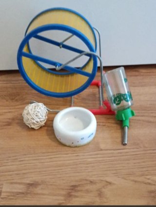 Lote de bienvenida completo para Hamster