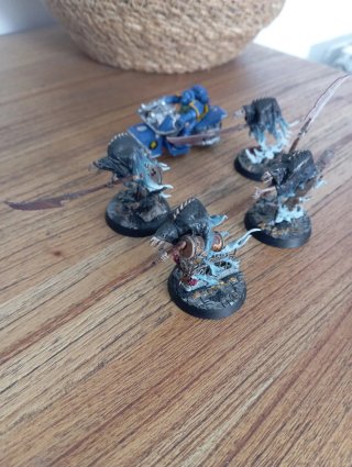 Lote Warhammer Figuras