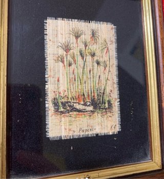 Quadretti con papiri