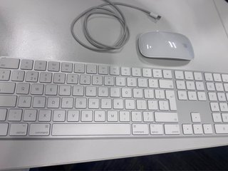 Teclado y mouse apple