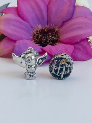 Charm Harry Potter Edvige & Occhiali