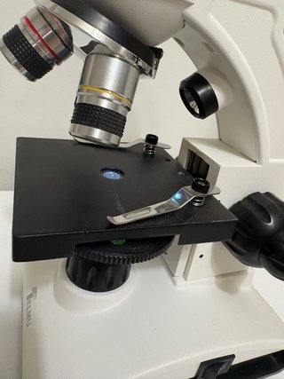 Microscopio blanco con 4x objetivo