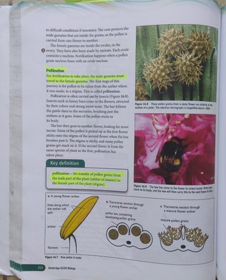 Cambridge IGCSE® Biology Coursebook with CD-ROM