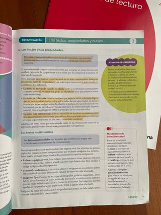 Lengua Castellana y Literatura, 4 ESO, Proyecto...