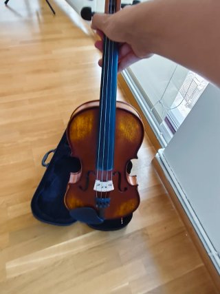 Violín para principiantes con funda y arco
