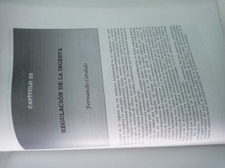 Endocrinología/ edición a cargo de Víctor M. Ar...