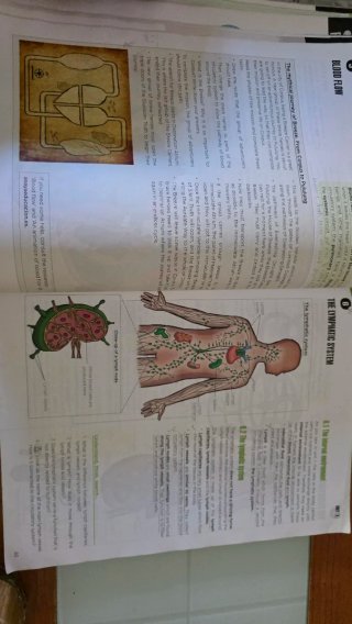 Biology and Geology 3. Student's Book