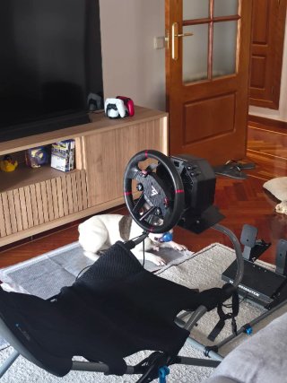 Volante Thrustmaster T598