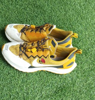 Nike Pegasus 36 Trail Gyakusou 45
