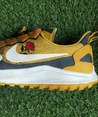 Nike Pegasus 36 Trail Gyakusou 45