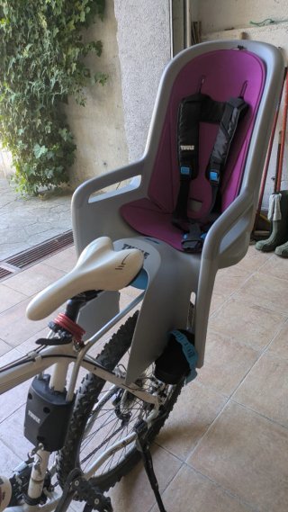 Asiento infantil Thule Ride Along reclinable