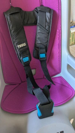 Asiento infantil Thule Ride Along reclinable