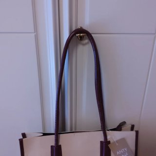 Borsa Aldino Beige e Marrone