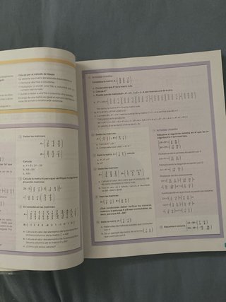 Matemáticas aplicadas a las Ciencias Sociales I...