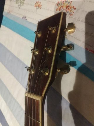 Guitarra Acústica Sigma Est 1970
