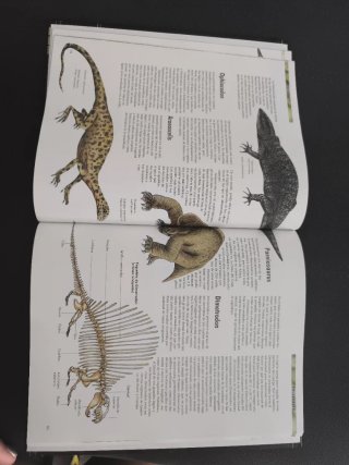 Los Dinosaurios Tapa dura Descubrimientos, especie