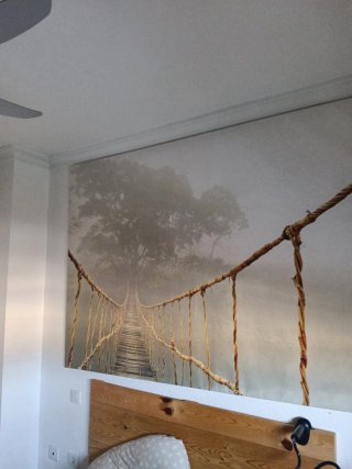Cuadro Decorativo Escalera y Bosque