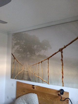 Cuadro Decorativo Escalera y Bosque