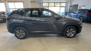 Hyundai TUCSON 1.6 TGDI 169kW 230CV HEV Maxx Auto (2023)