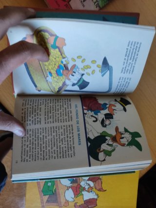 Biblioteca jóvenes castores