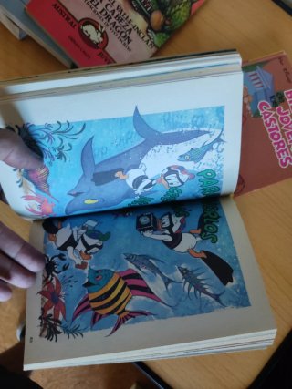 Biblioteca jóvenes castores