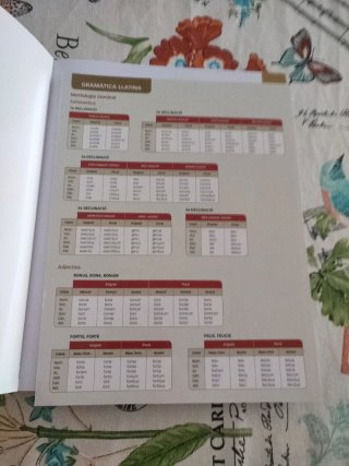 Llatí, 4 ESO