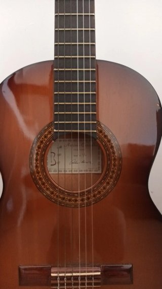 Guitarra Acústica APC (Saco Incluido)