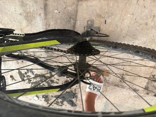 mountain bike olmo