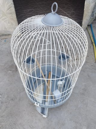 Jaula para loro