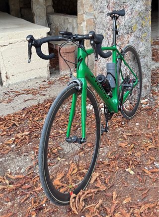 Specialized Roubaix SL4 Elite carbono T56 Ultegra
