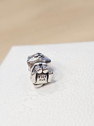 Charm Pandora Perro Akita Inu Japonés