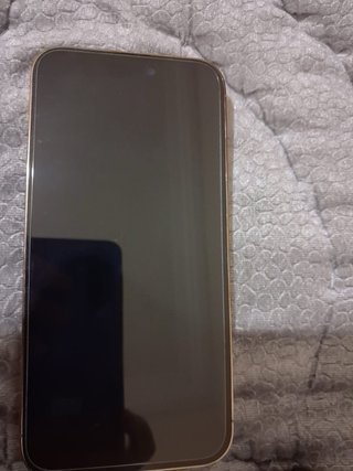 iPhone14 pro max