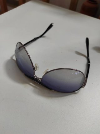 Gafas de Sol Web Eyewear