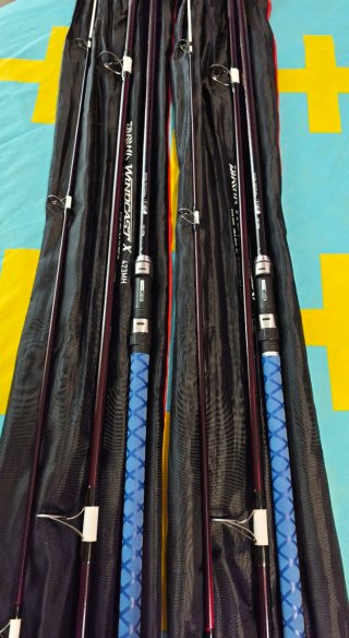 Pareja Cañas Pesca Daiwa Windcast 4.20
