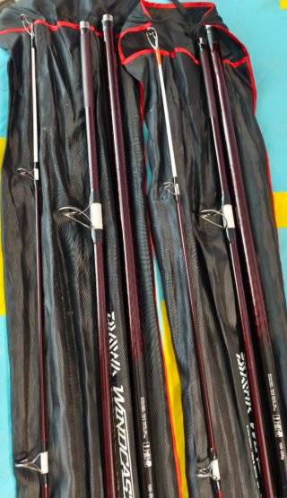 Pareja Cañas Pesca Daiwa Windcast 4.20