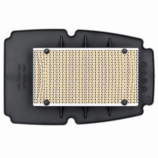 Filtro de Aire MIW VOGE DS650 ABS E5 2021-2024