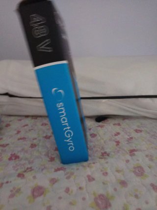 Cargador SmartGyro 4800
