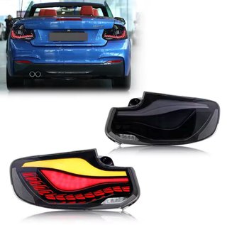 Pilotos Traseros BMW serie 2 F22 OLED