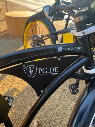 Bicicleta Eléctrica PG-Bikes Cruiser DOBLE MOTOR