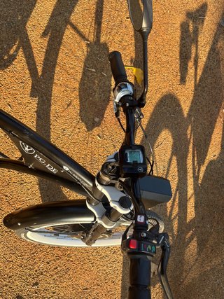 Bicicleta Eléctrica PG-Bikes Cruiser DOBLE MOTOR