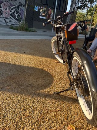 Bicicleta Eléctrica PG-Bikes Cruiser DOBLE MOTOR