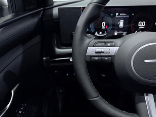 Hyundai Tucson 1.6T HEV Black Line AT 176 kW (239 CV)