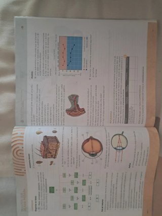 Libro texto de Bioloxia e Xeoloxia 3º