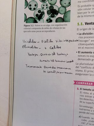 Biología y geología 1bachillerato Savia