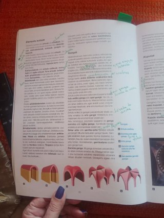 Artearen Historia 2 Batxilergoa