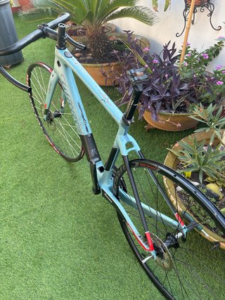 Cuadro Wilier Celeste