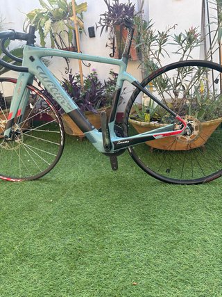 Cuadro Wilier Celeste