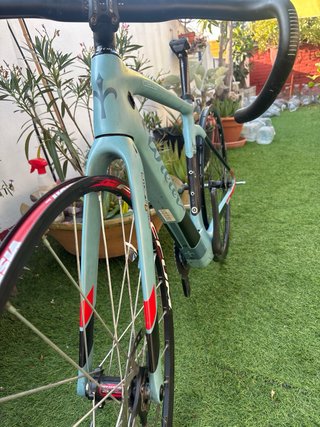 Cuadro Wilier Celeste