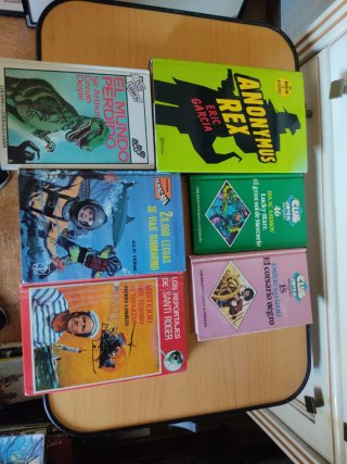 Seis libros juvenil