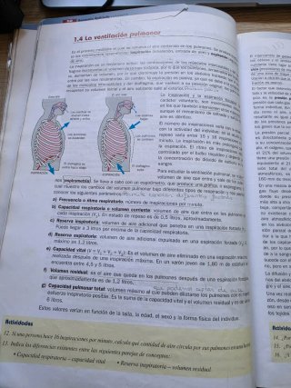 Anatomía aplicada